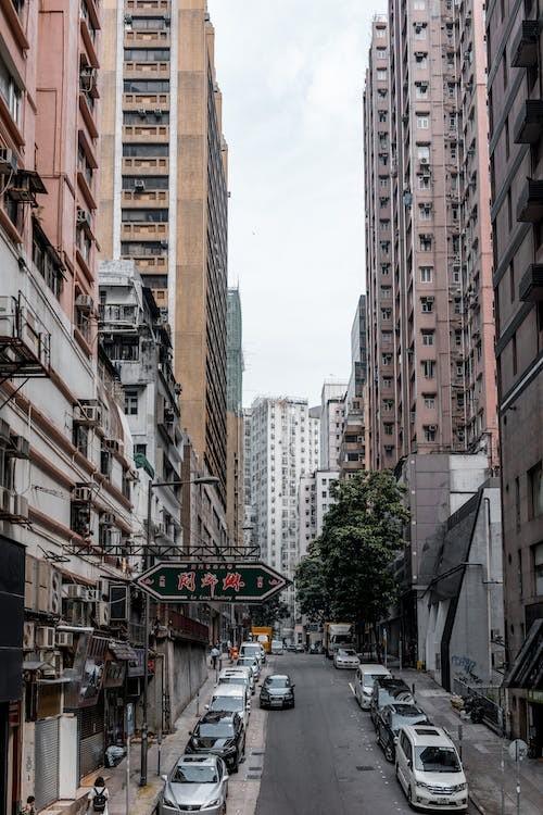 民众综合素质普法 势在必行