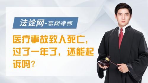 医疗事故致人死亡，过了一年了还能够起诉吗？