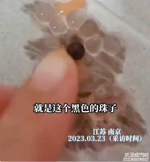 七分甜奶茶喝出一对玻璃珠子 奶茶店：正在了解